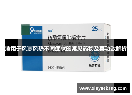 适用于风寒风热不同症状的常见药物及其功效解析