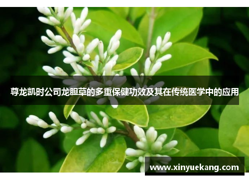 尊龙凯时公司龙胆草的多重保健功效及其在传统医学中的应用 尊龙凯时公司龙胆草的多重保健功效及其在传统医学中的应用