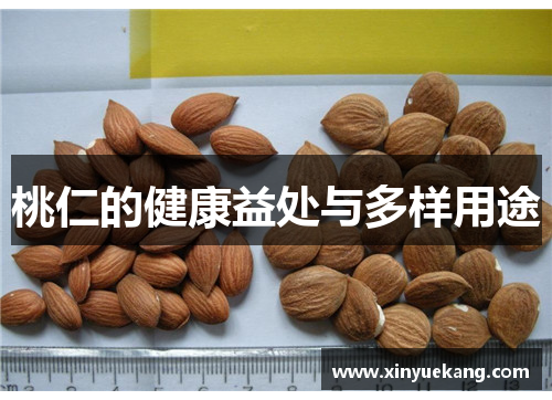 桃仁的健康益处与多样用途